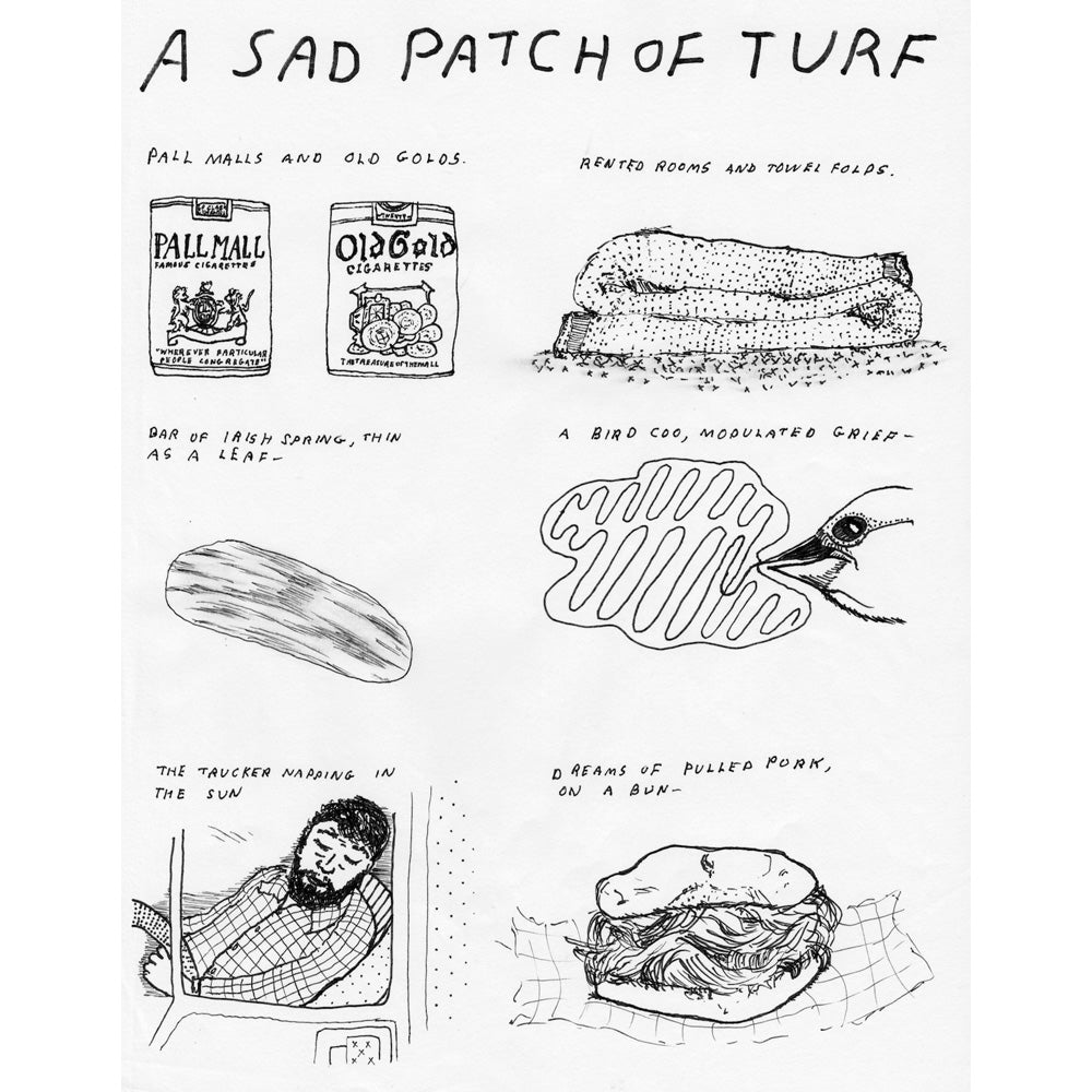 Book of Daze: New And Selected Comics