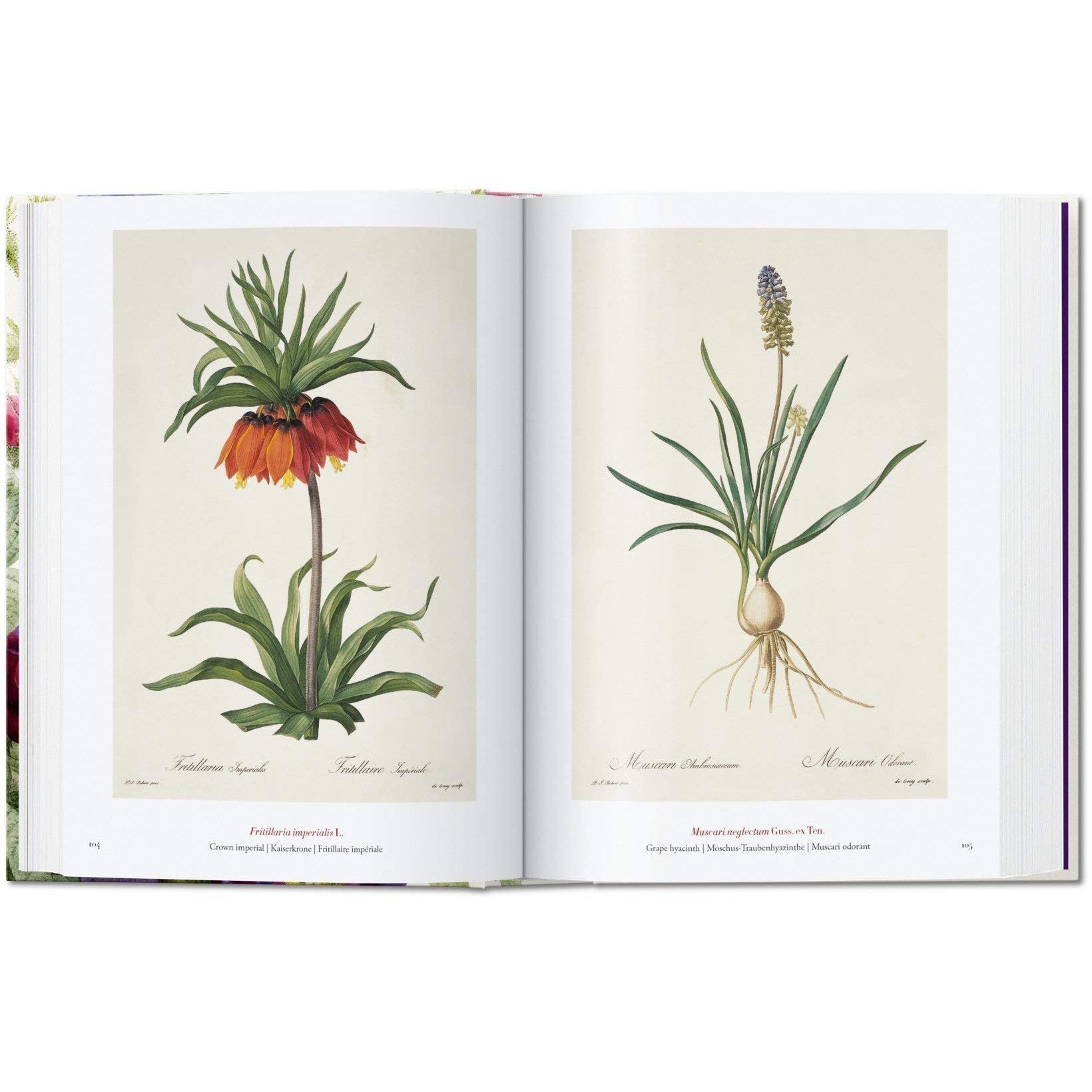 洋書 Agenda 2010 - Fleurs et jardins Book of Flowers – Atomic Books