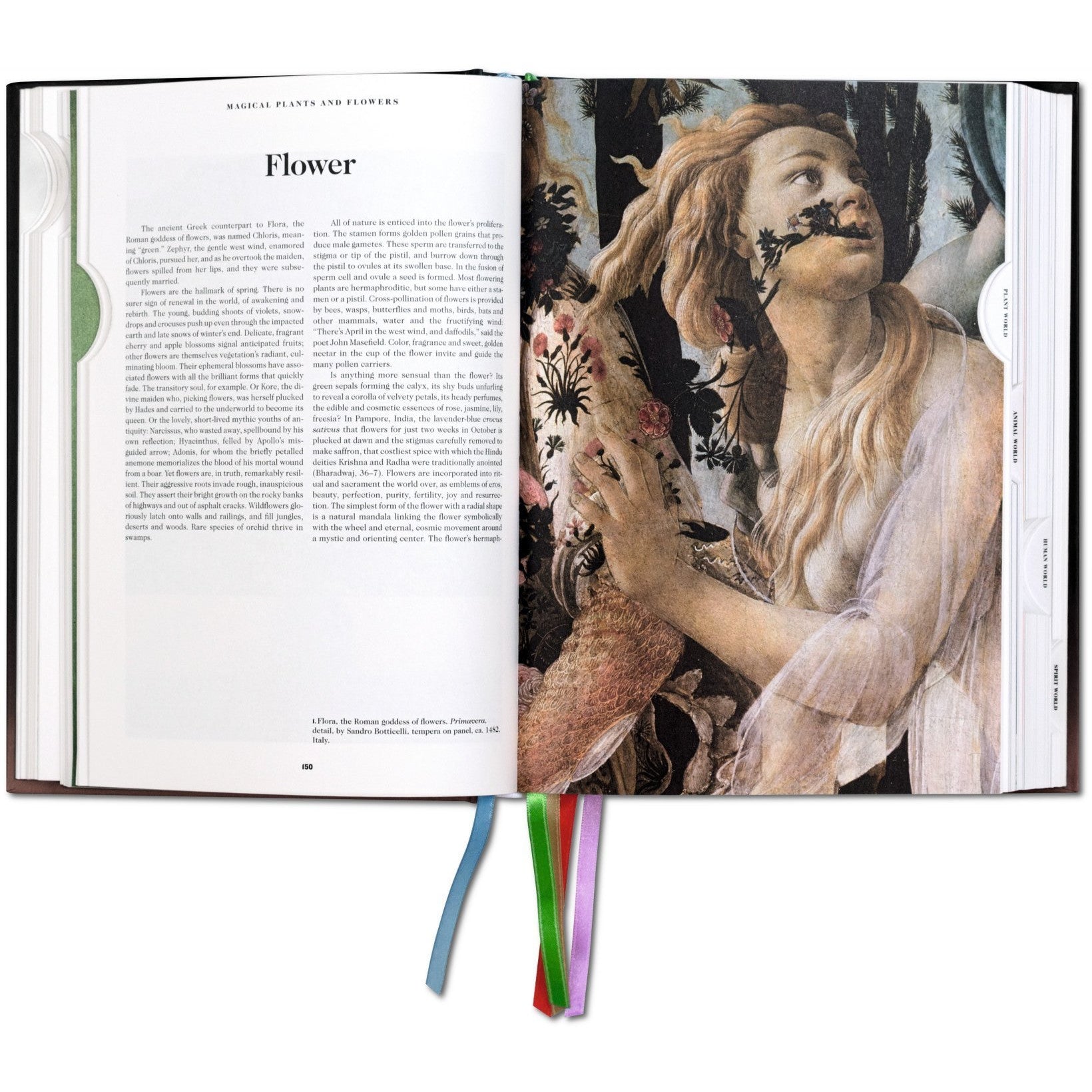 The Book of Symbols – Atomic Books