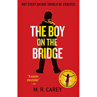 The Boy on the Bridge