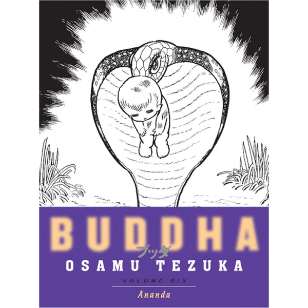 Buddha Volume 6: Ananda