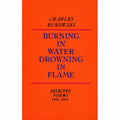 Burning in Water, Drowning in Flame