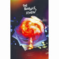 Bushwick Review #7