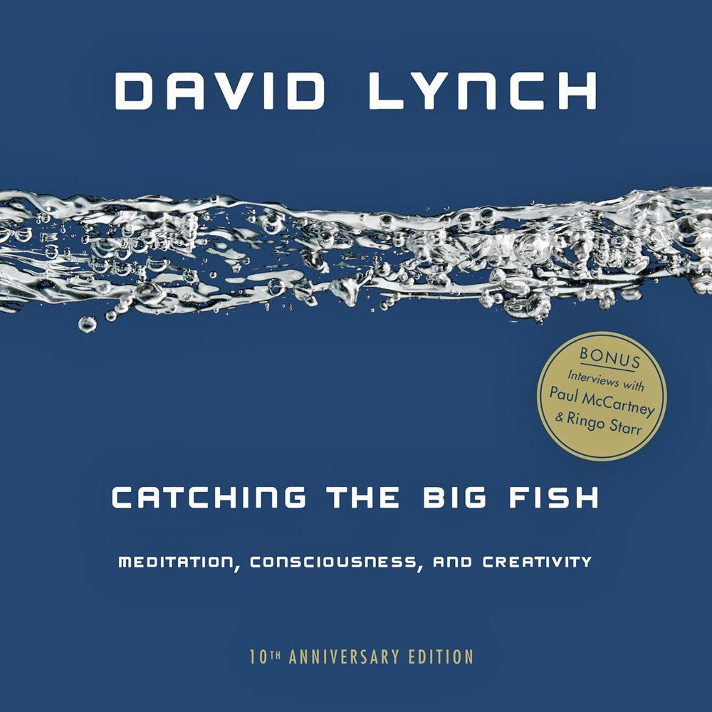 Catching the Big Fish: Meditation, Consciousness, and Creativity