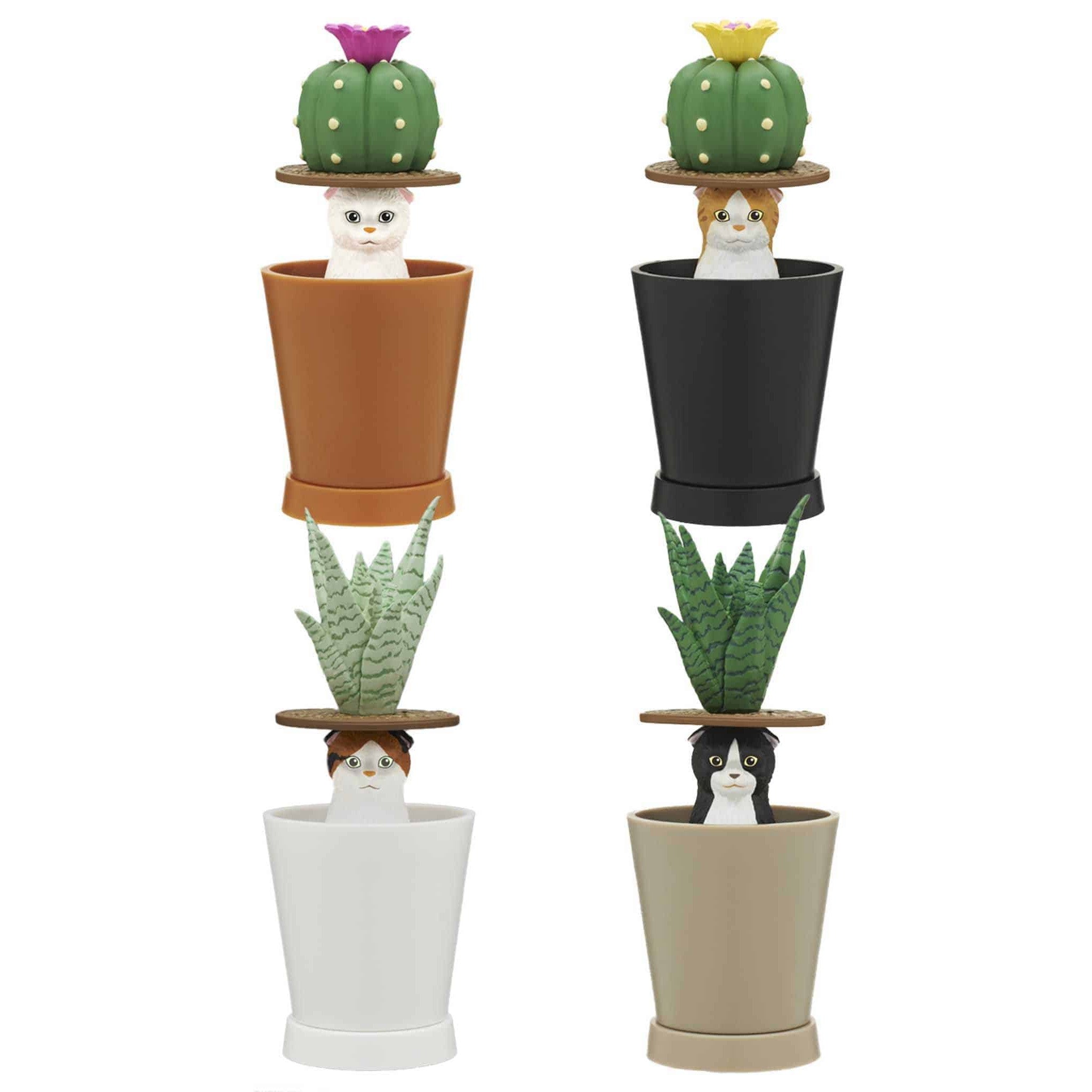 succulent blind box Cat Peek Planter Blindbox – Atomic Books
