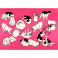 Cats At Play Postcard