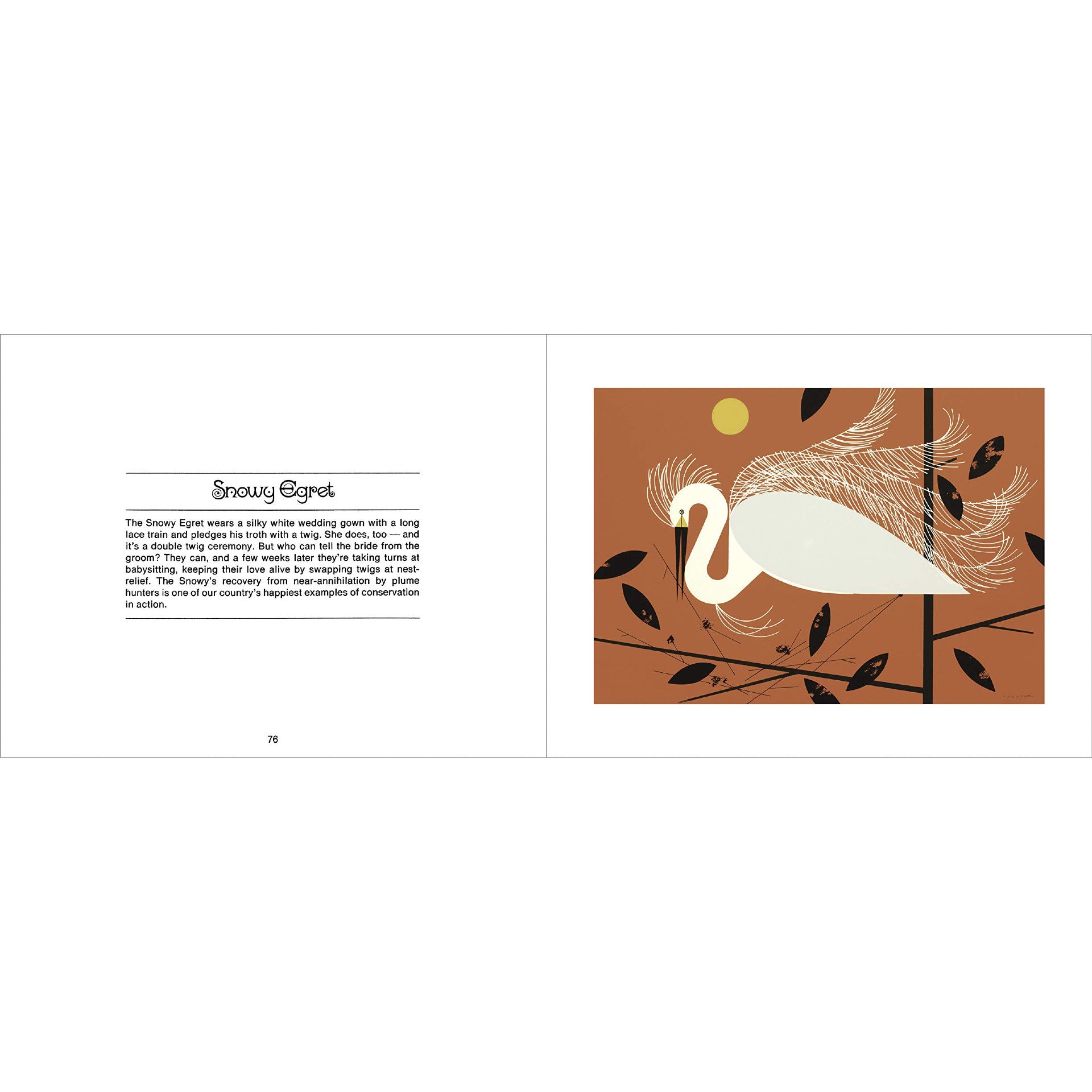 Charles Harper's Birds And Words