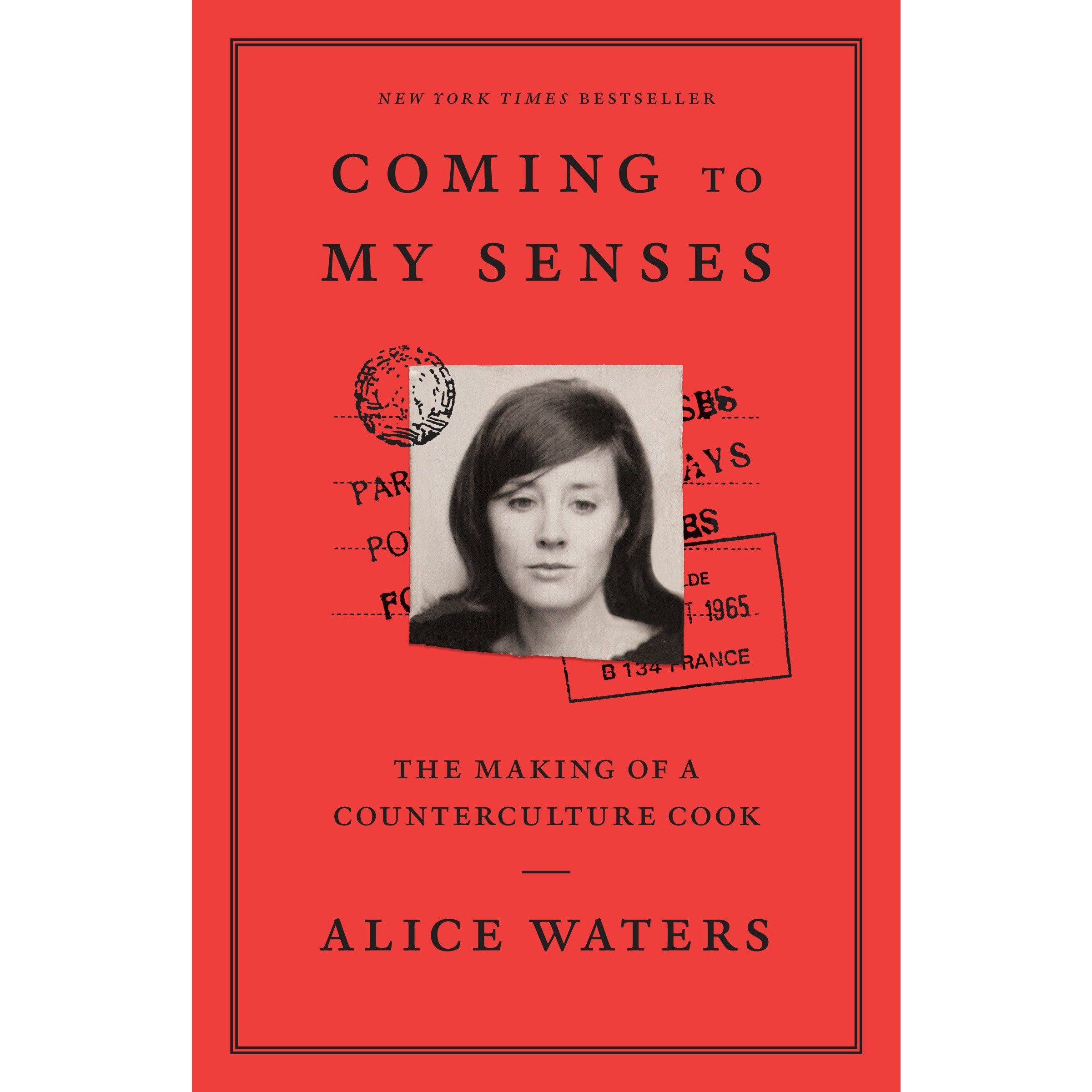 Coming To My Senses (paperback)