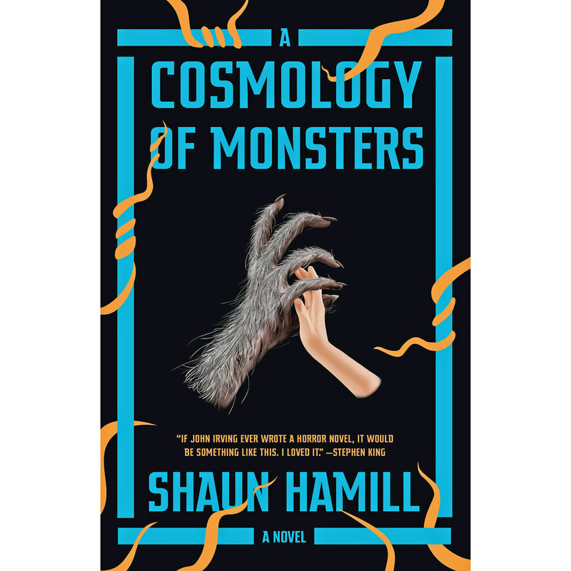 A Cosmology of Monsters: A Novel (paperback)