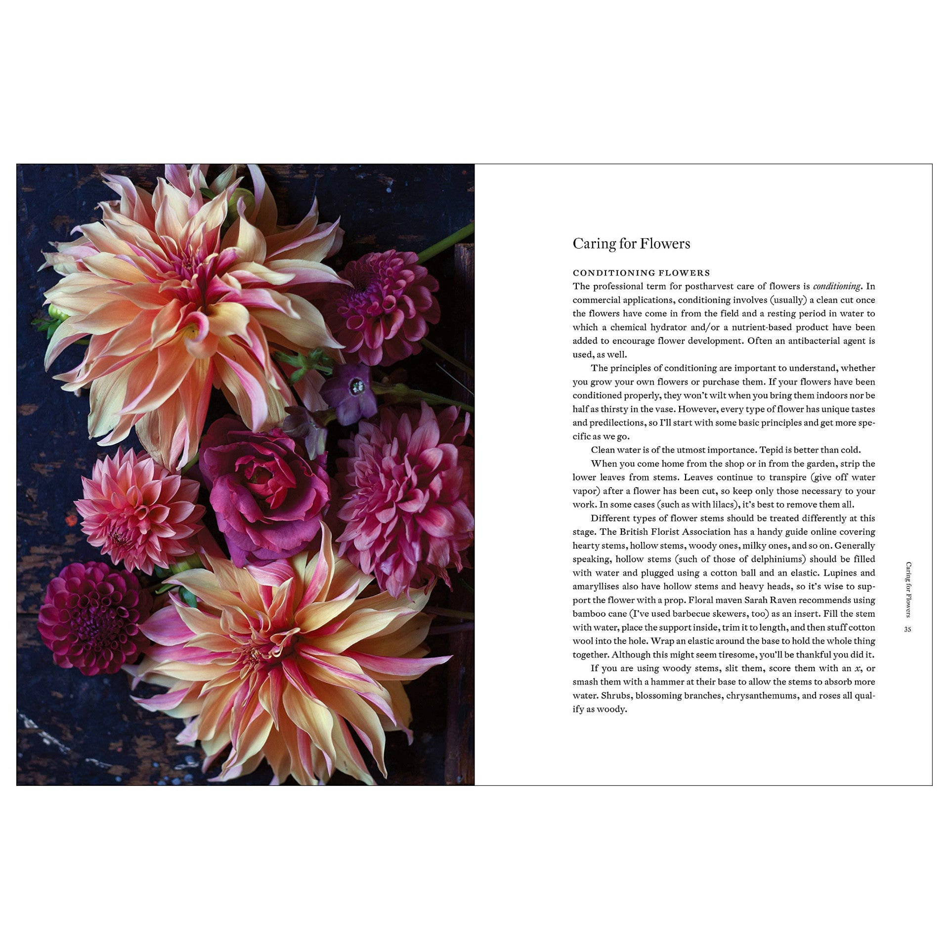 Cultivated: The Elements of Floral Style – Atomic Books