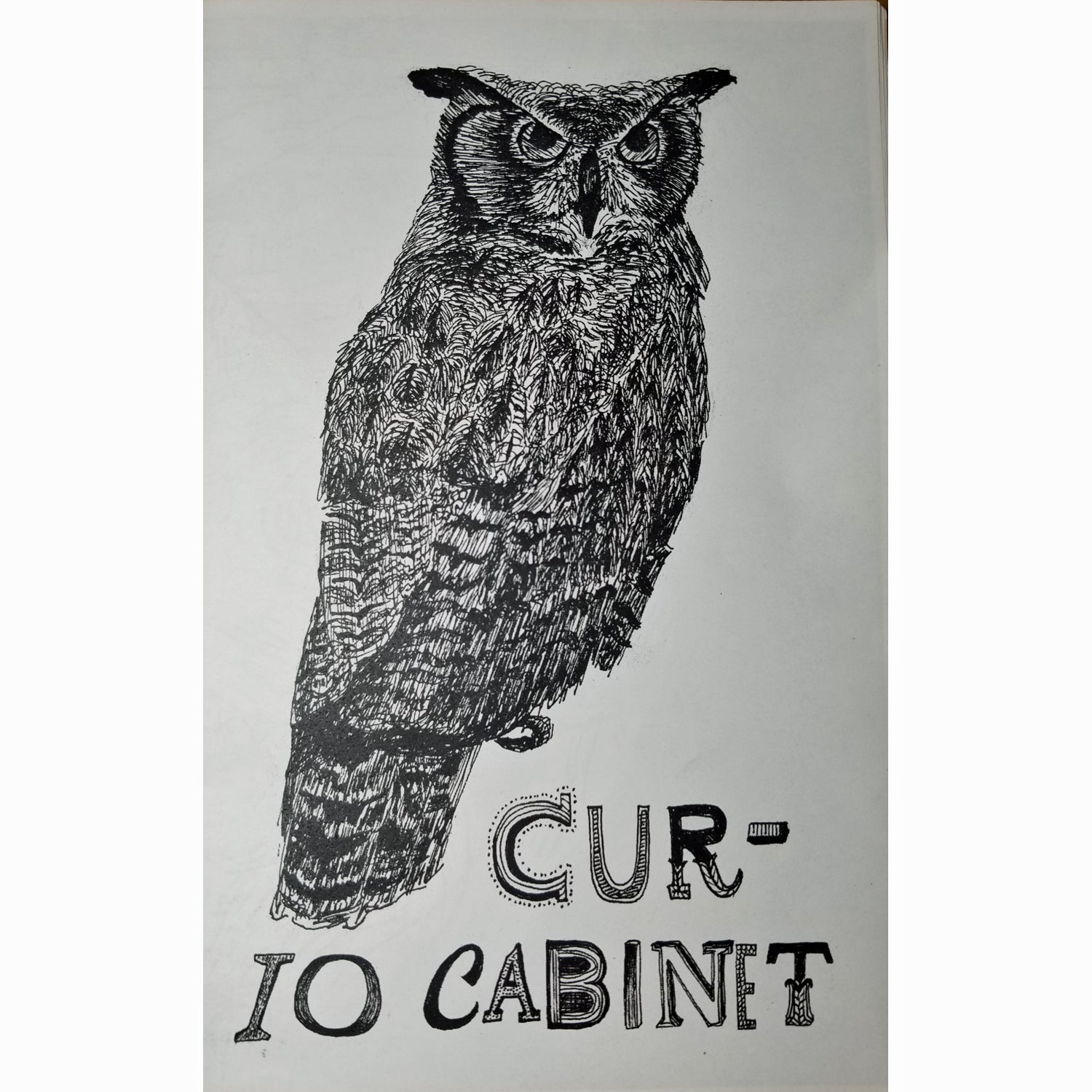 Curio Cabinet #2