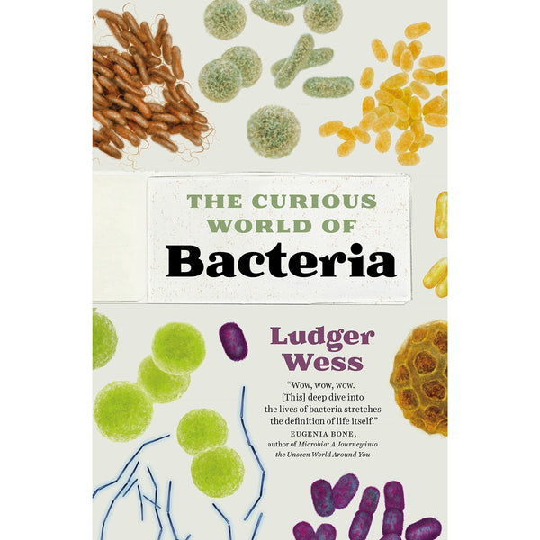 The Curious World of Bacteria 
