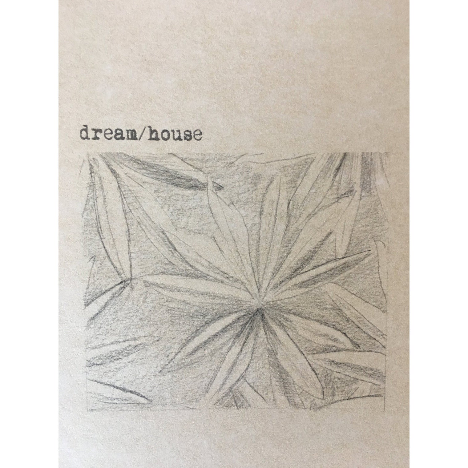 Dream/House