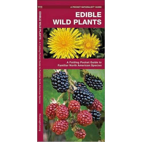 Edible Wild Plants: A Folding Pocket Guide to Familiar North American Species