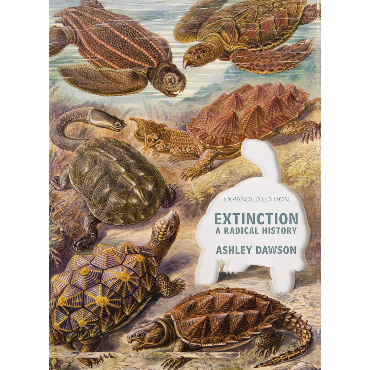 Extinction: A Radical History – Atomic Books