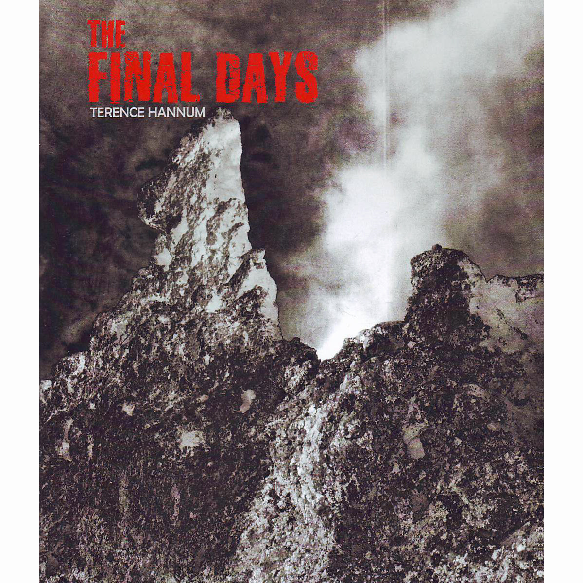 The Final Days