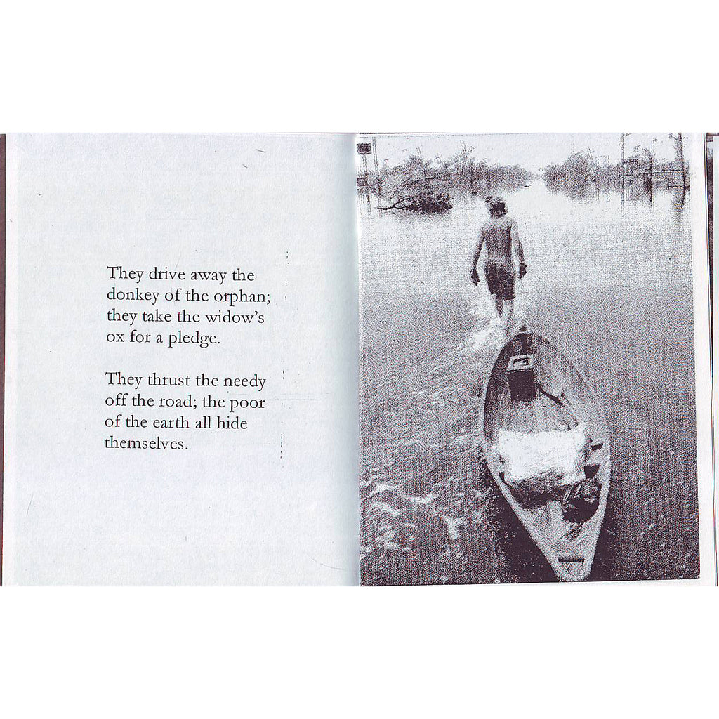 The Flood 