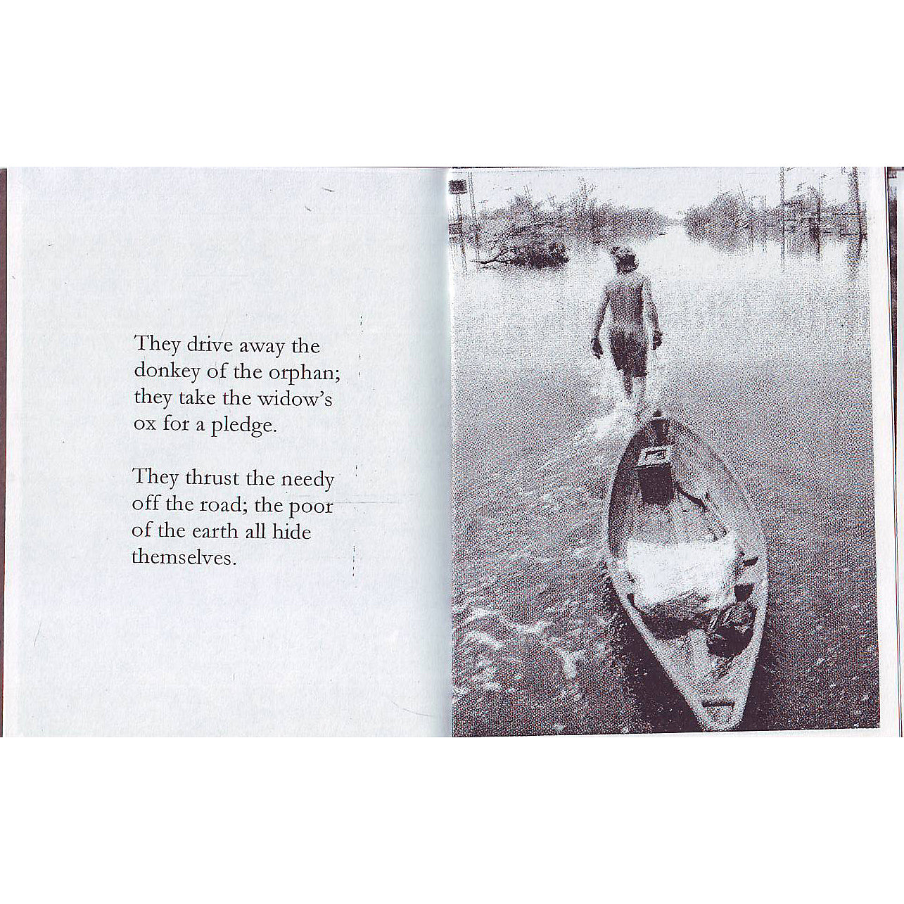 The Flood 