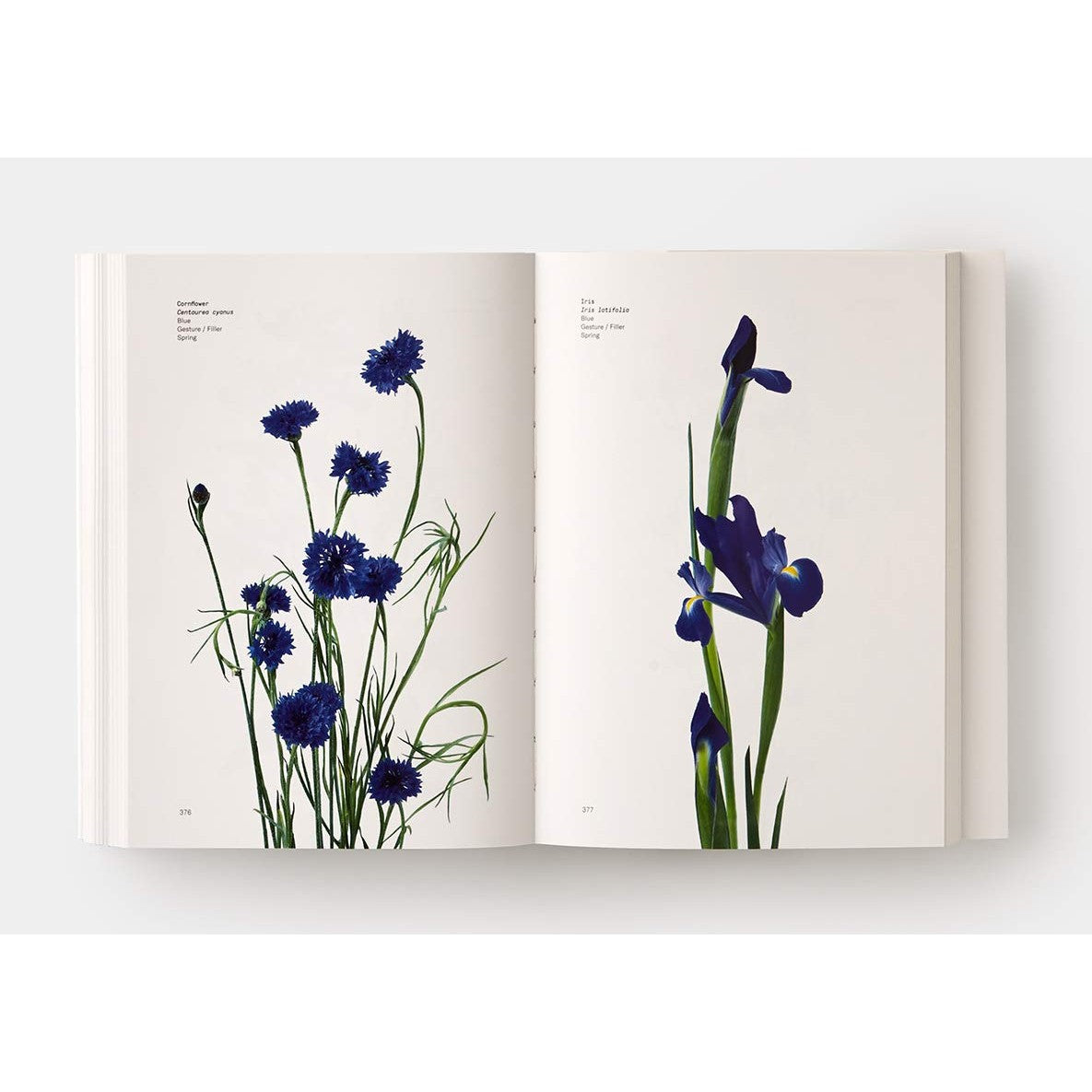 Flower Color Guide