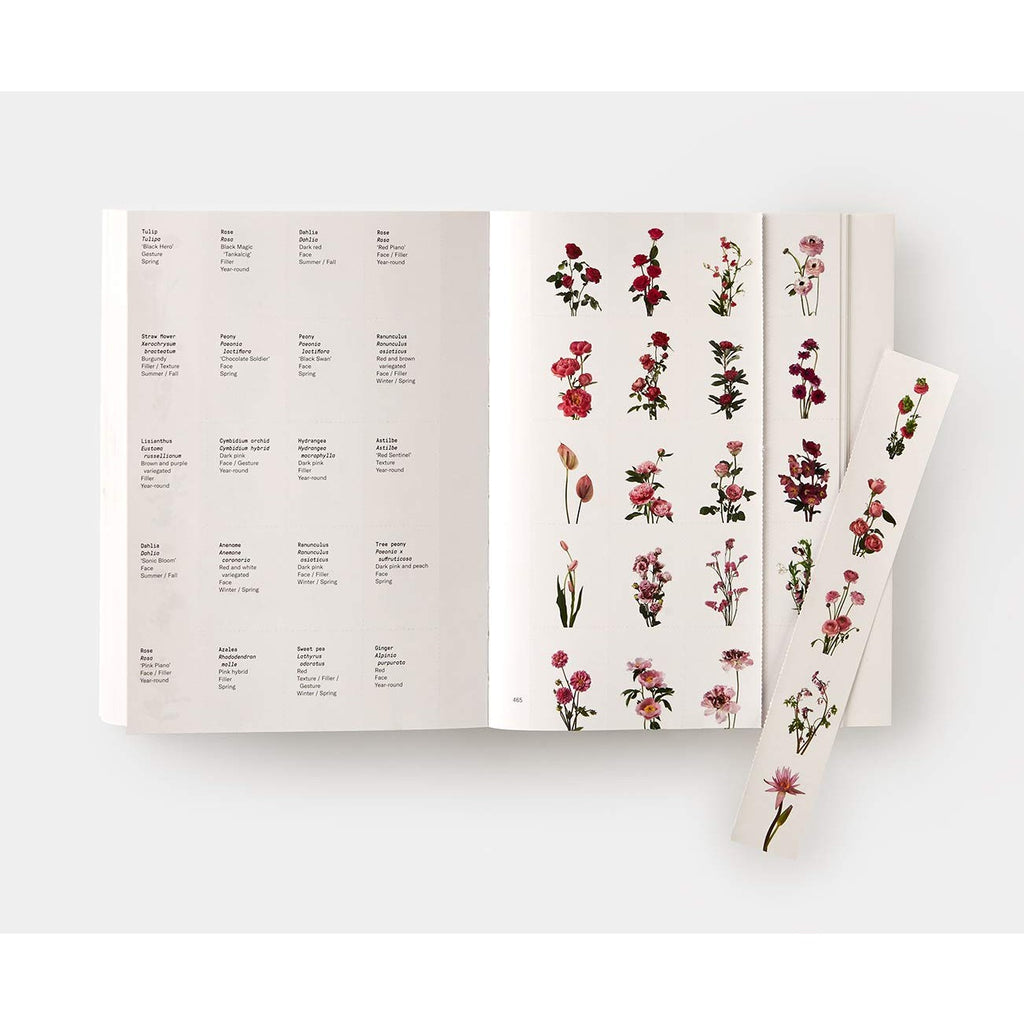 Flower Color Guide