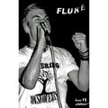Fluke #13