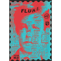 Fluke #19