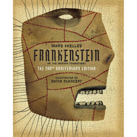 Frankenstein (Classics Reimagined)