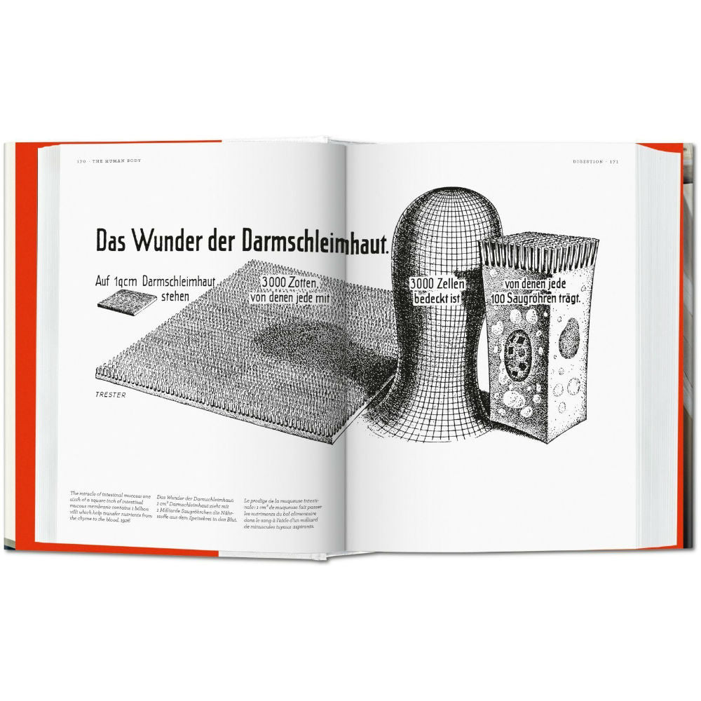 Fritz Kahn: Infographics Pioneer