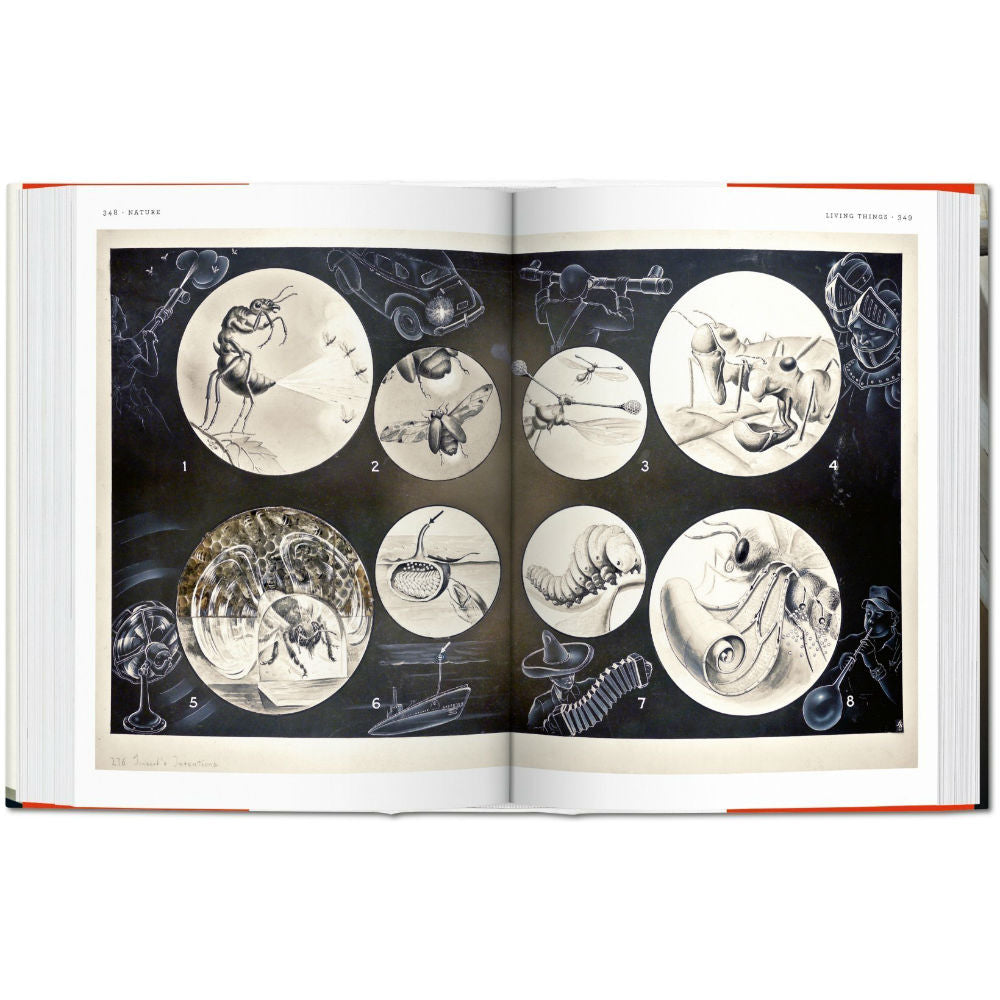 Fritz Kahn: Infographics Pioneer