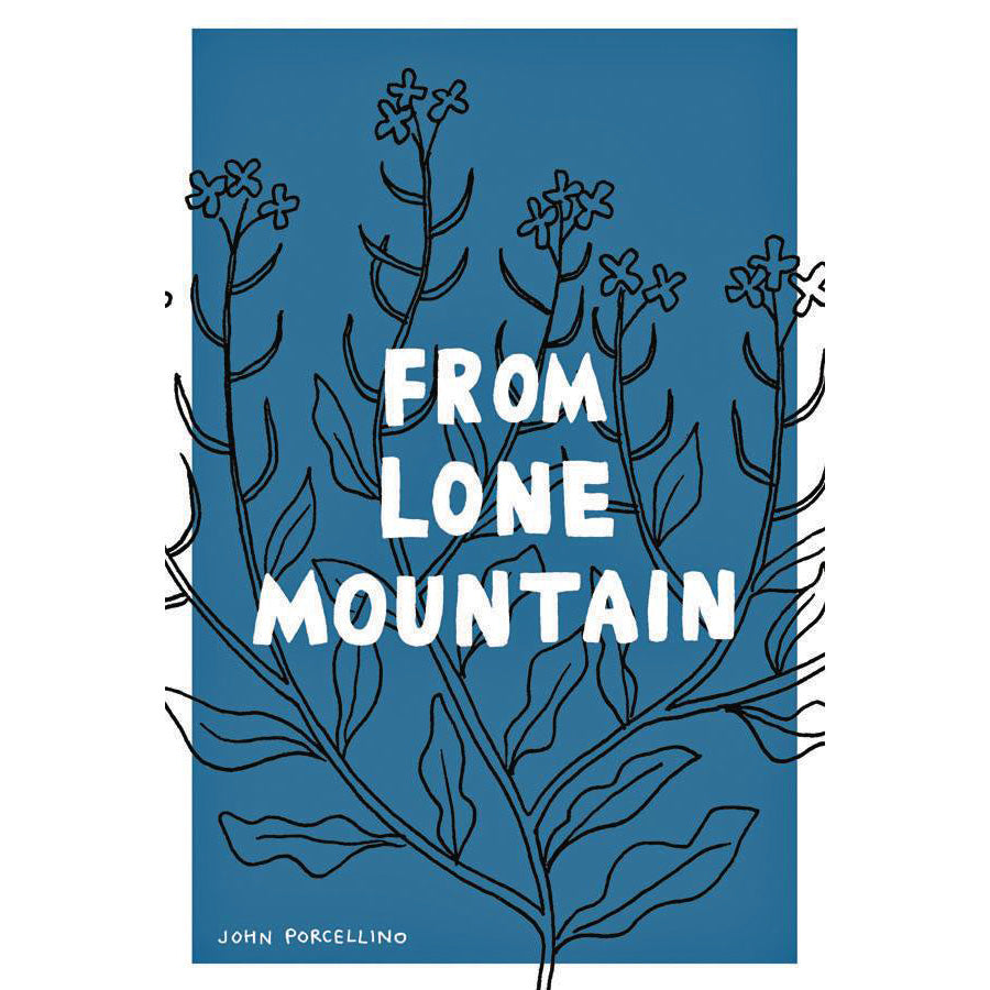 From Lone Mountain
