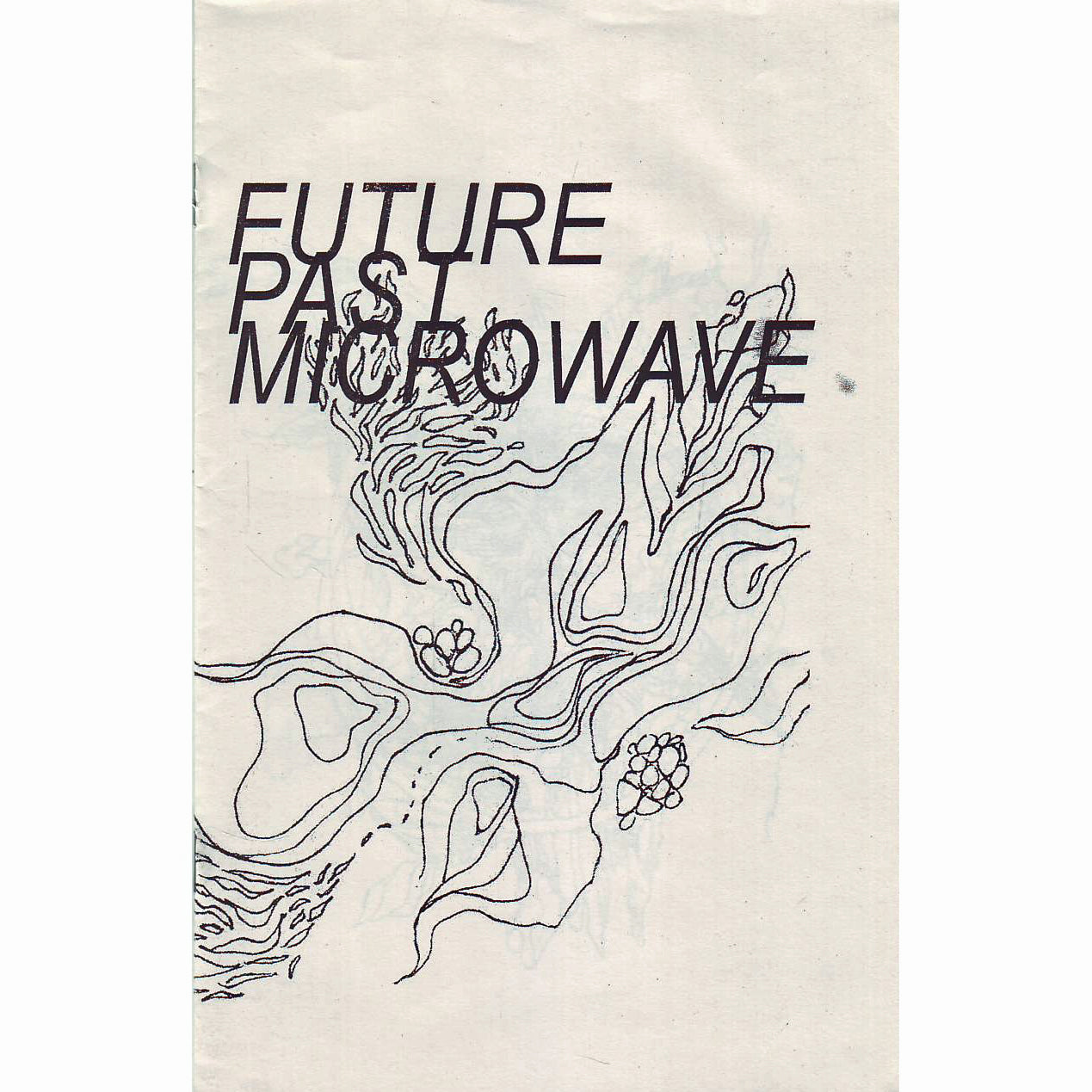 Future Past Microwave