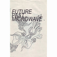 Future Past Microwave