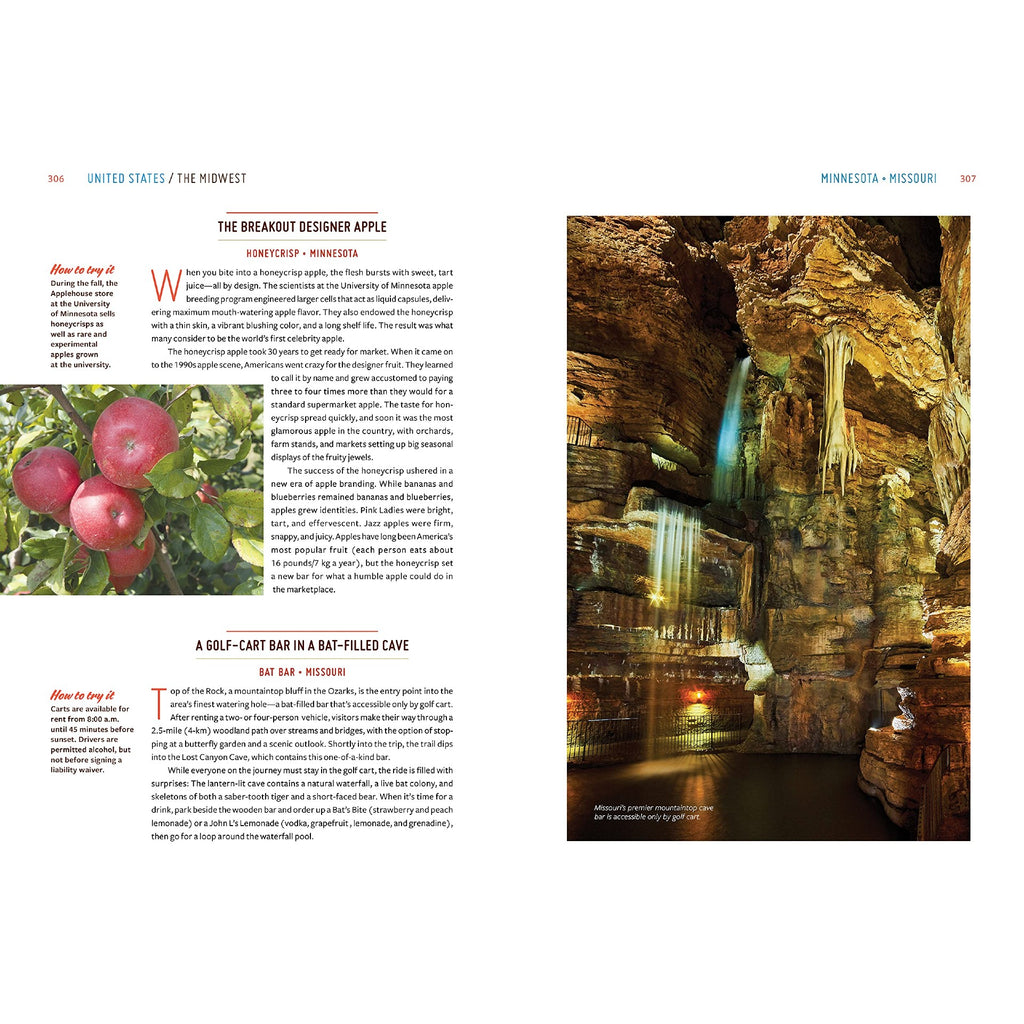 Gastro Obscura