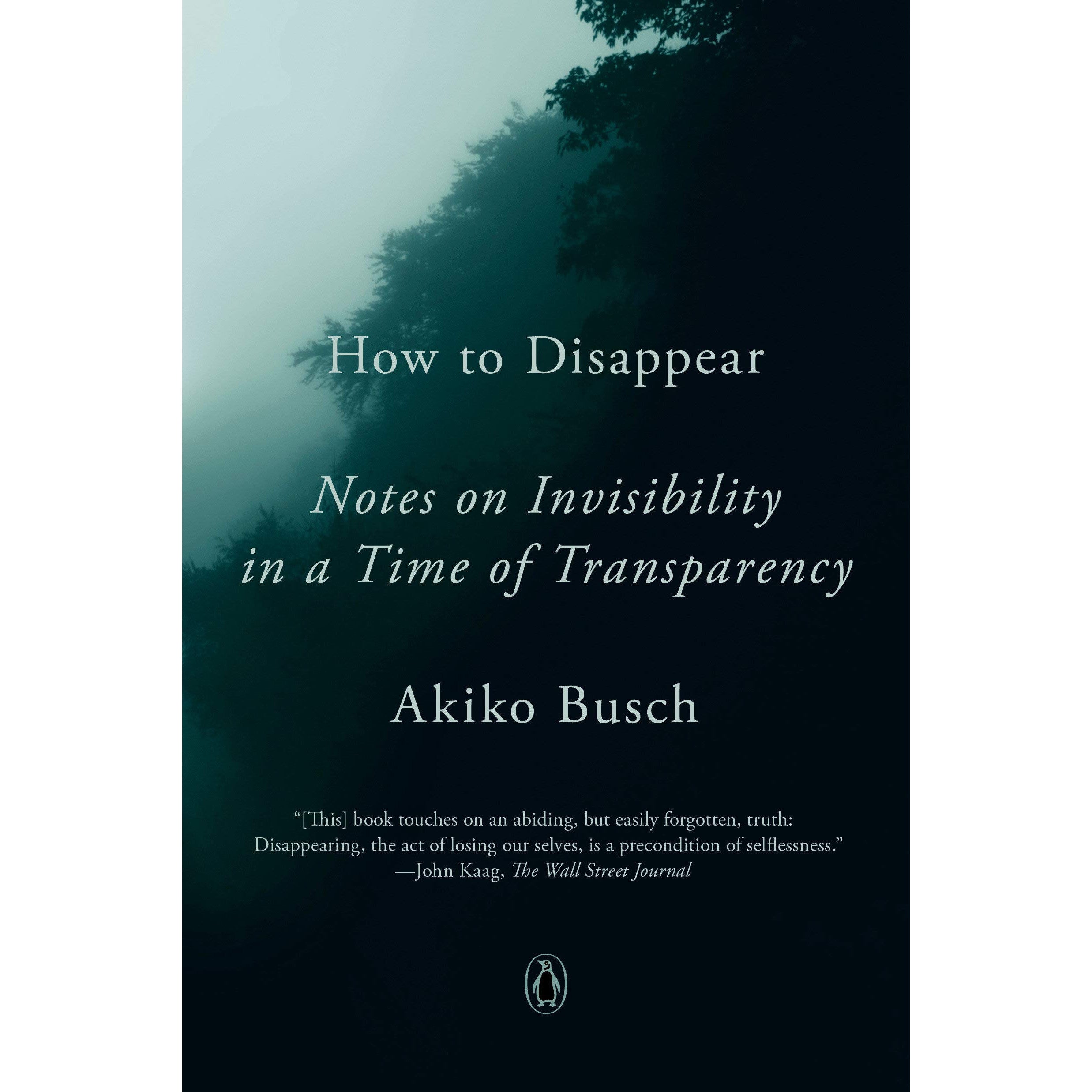 How To Disappear (paperback)