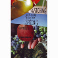 Hatching: Self-Care Tips for Spring and Summer