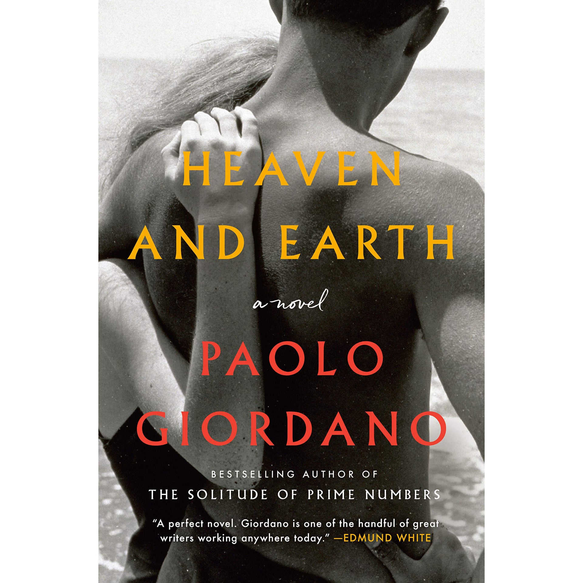 Heaven and Earth: A Novel