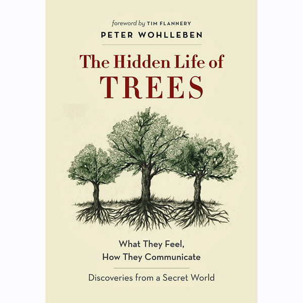 Hidden Life Of Trees