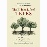 Hidden Life Of Trees