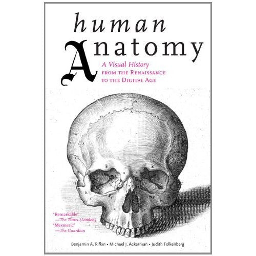 Human Anatomy