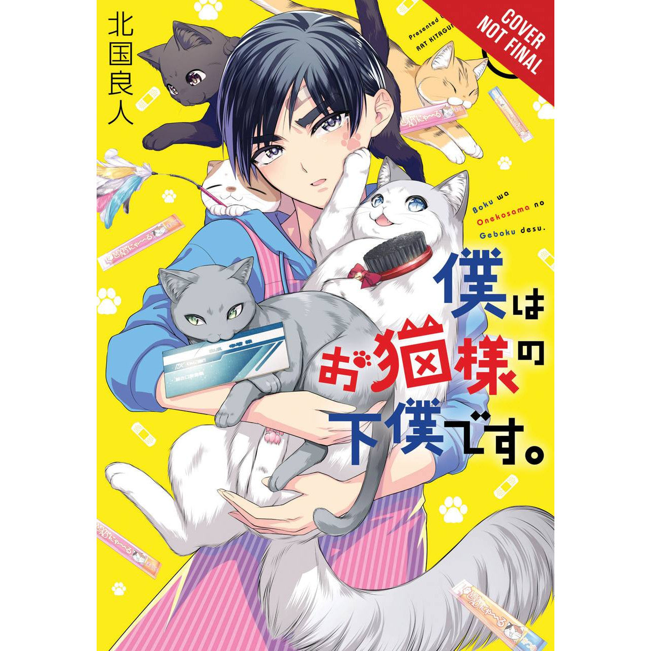 I'm The Catlord's Manservant Volume 1