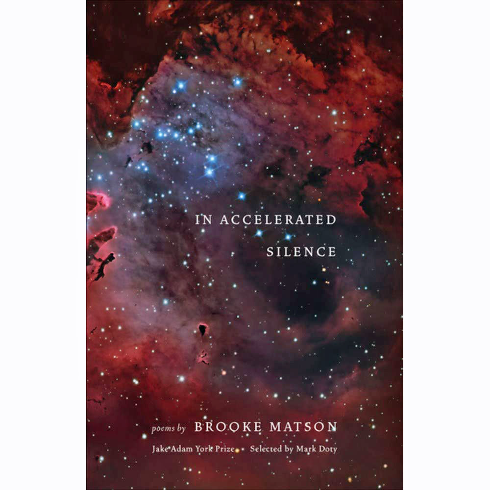 In Accelerated Silence: Poems 