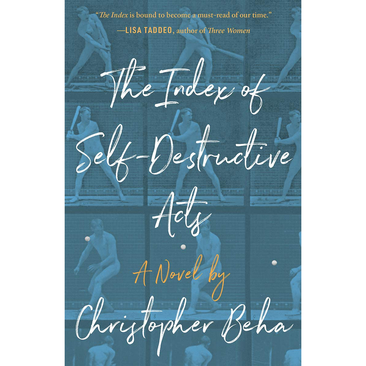 The Index of Self-Destructive Acts (hardcover)