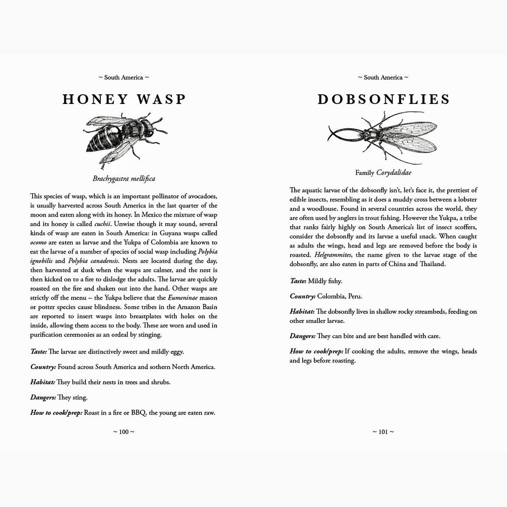 Insect Cookbook Insects: An Edible Field Guide – Atomic Books