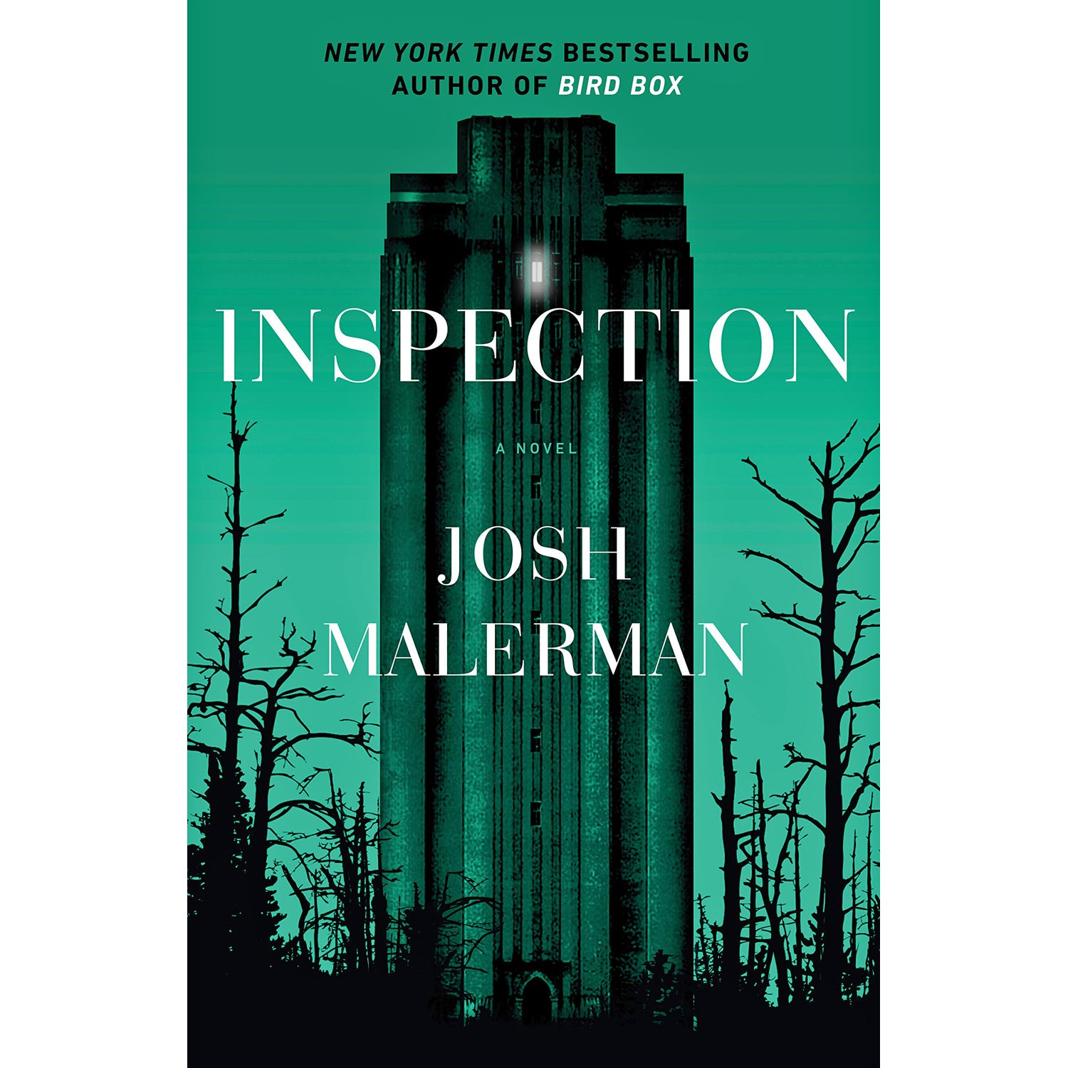 Inspection: A Novel (hardcover)
