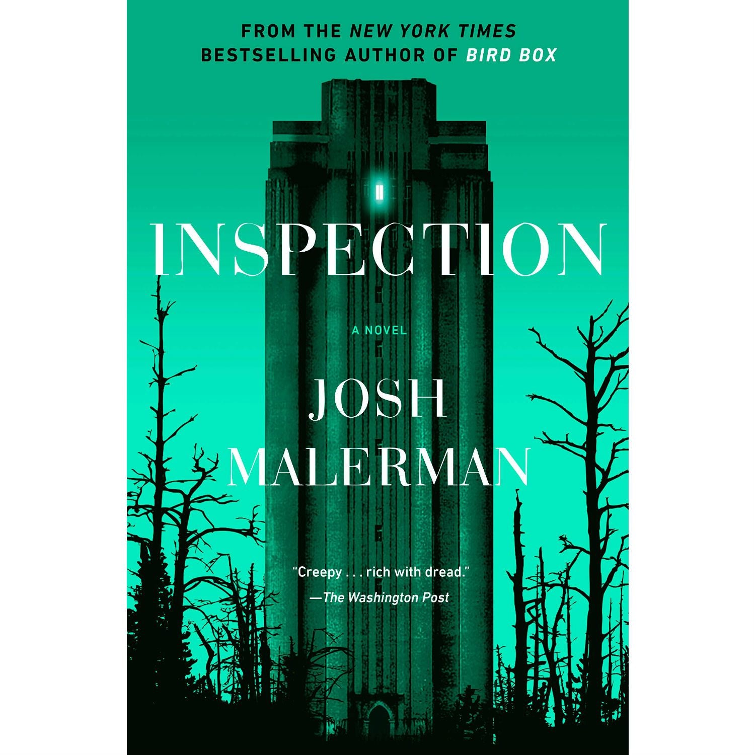 Inspection: A Novel (paperback)