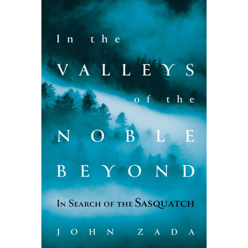 In the Valleys of the Noble Beyond (paperback)