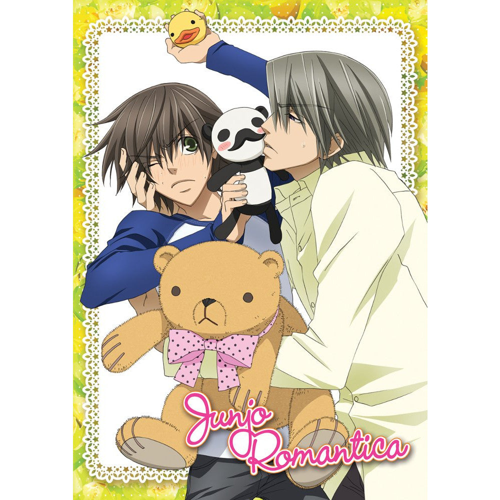 Junjo Romantica Season 1 DVD