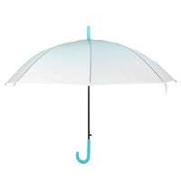 Ombre Umbrella (blue handle)