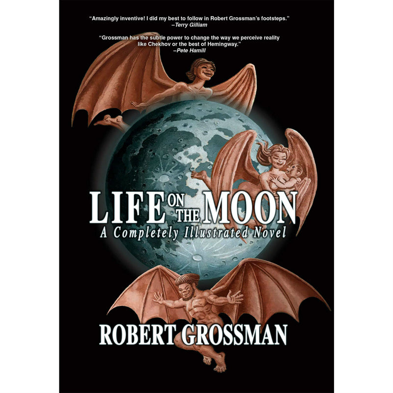 Life On The Moon: A Completely Illustrated Novel