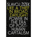 Like a Thief in Broad Daylight: Power in the Era of Post-Human Capitalism